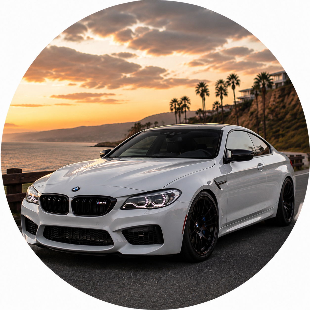 M6 F06 F12 F13 (2012-2019)
